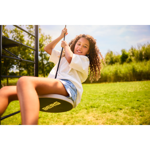 BERG Disc Swing - Image 3